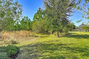 8613 Grand Alberato Rd, Tampa, FL 33647 - Photo 6