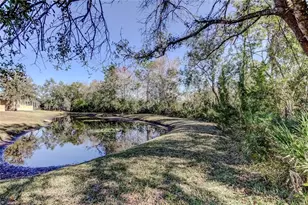 19131 Lake Audubon Dr, Tampa, FL 33647 - Photo 54