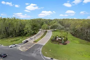 8328 Auburn Rise Ct, Land O Lakes, FL 34638 - Photo 46