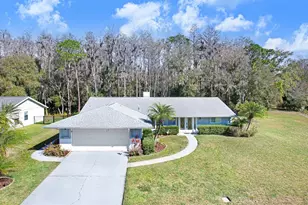 501 Lakeview Dr, Oldsmar, FL 34677 - Photo 2