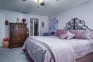 501 Lakeview Dr, Oldsmar, FL 34677 - Photo 32