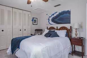 501 Lakeview Dr, Oldsmar, FL 34677 - Photo 38