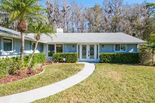 501 Lakeview Dr, Oldsmar, FL 34677 - Photo 8