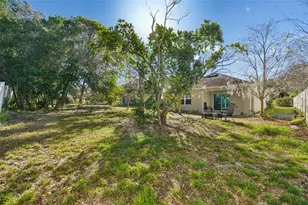 10104 Hawk Storm Ave, Tampa, FL 33610 - Photo 38