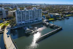 2 Adalia Ave, Tampa, FL 33606 - Photo 76