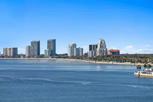 2 Adalia Ave, Tampa, FL 33606 - Photo 42