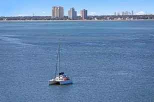 2 Adalia Ave, Tampa, FL 33606 - Photo 40