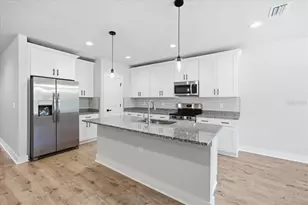 16011 Scaup Duck Ave, Weeki Wachee, FL 34614 - Photo 4