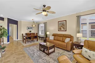 220 Shell Falls Dr, Apollo Beach, FL 33572 - Photo 4