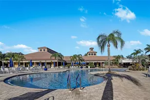 220 Shell Falls Dr, Apollo Beach, FL 33572 - Photo 68