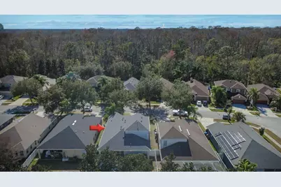 15819 Cedar Elm Terrace, Land O Lakes, FL 34638 - Photo 54