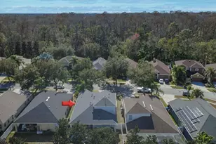 15819 Cedar Elm Terrace, Land O Lakes, FL 34638 - Photo 54