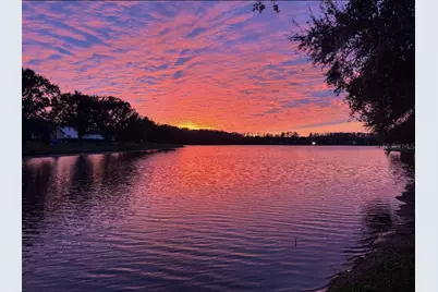 11604 Splendid Lane, Tampa, FL 33626 - Photo 48