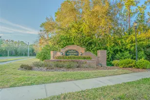 6244 English Hollow Rd, Tampa, FL 33647 - Photo 48