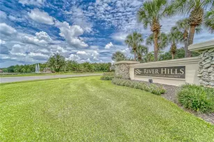 3522 Fox Squirrel Ln, Valrico, FL 33596 - Photo 80