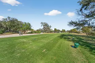 3522 Fox Squirrel Ln, Valrico, FL 33596 - Photo 10