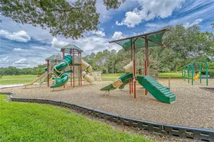 3522 Fox Squirrel Ln, Valrico, FL 33596 - Photo 70