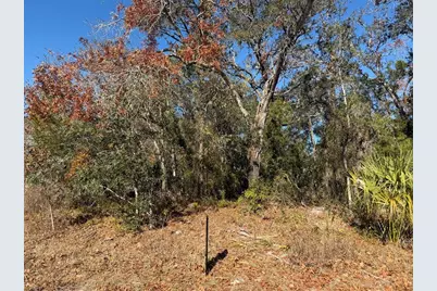 4307 Castle Avenue, Spring Hill, FL 34609 - Photo 2