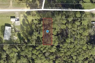 Tbd Deer Crossing Rd, Altoona, FL 32702 - Photo 1
