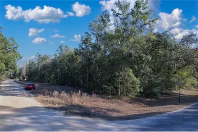 0 Hemlock St, Interlachen, FL 32148 - Photo 14