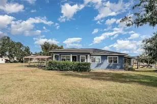 10820 S County Rd 39, Lithia, FL 33547 - Photo 2