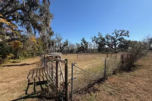 37214 Hester Rd, Dade City, FL 33525 - Photo 6