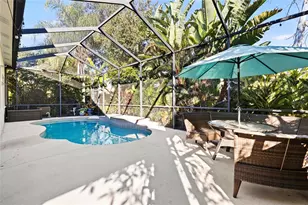 15501 Martinmeadow Dr, Lithia, FL 33547 - Photo 34