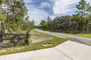 15043 Hidden Deer Trl, Brooksville, FL 34614 - Photo 4