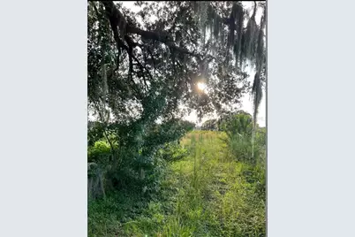 13029 S County Road 39, Lithia, FL 33547 - Photo 2