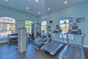 3116 Granite Ridge Loop, Land O Lakes, FL 34638 - Photo 42