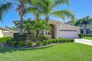 3116 Granite Ridge Loop, Land O Lakes, FL 34638 - Photo 2