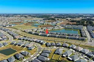 10387 Lavender Aster Trl, San Antonio, FL 33576 - Photo 44