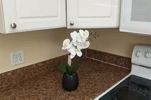 6306 Newtown Cir, Tampa, FL 33615 - Photo 6