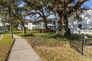 413 S Bayshore Blvd, Safety Harbor, FL 34695 - Photo 24