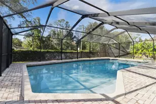 4646 Landscape Dr, Tampa, FL 33624 - Photo 38