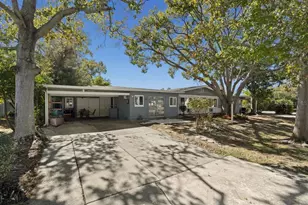 1301 N Lotus Dr, Dunedin, FL 34698 - Photo 4