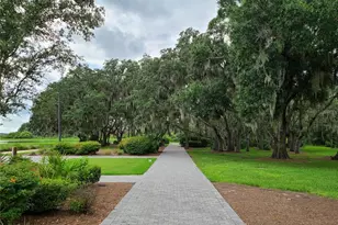 4312 Burdick Loop, Odessa, FL 33556 - Photo 52