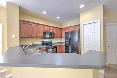 20424 Needletree Drive, Tampa, FL 33647 - Photo 8