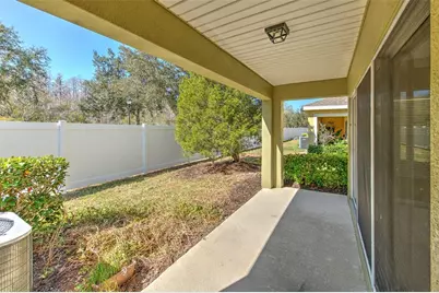 20424 Needletree Drive, Tampa, FL 33647 - Photo 32
