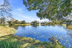 4024 Dellbrook Dr, Tampa, FL 33624 - Photo 58