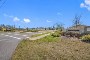 20076 Azul Marble Loop, Land O Lakes, FL 34638 - Photo 72