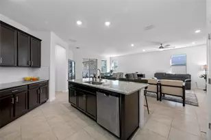 20076 Azul Marble Loop, Land O Lakes, FL 34638 - Photo 16