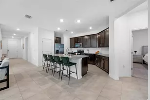 20076 Azul Marble Loop, Land O Lakes, FL 34638 - Photo 18