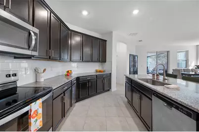 20076 Azul Marble Loop, Land O Lakes, FL 34638 - Photo 18