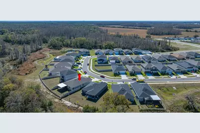 20076 Azul Marble Loop, Land O Lakes, FL 34638 - Photo 2