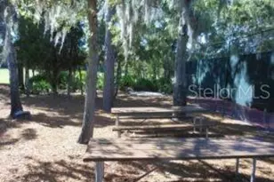 8805 Shoemaker Ln, Hudson, FL 34667 - Photo 24