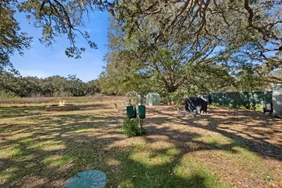 10100 Frierson Lake Drive, Hudson, FL 34669 - Photo 46