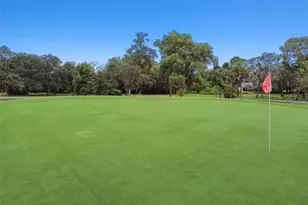 12520 Coffee Hill Row, Hudson, FL 34667 - Photo 32