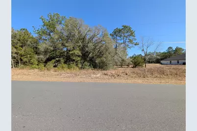 Sw Soundview Drive, Dunnellon, FL 34431 - Photo 2