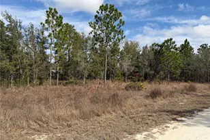 16426 Courlan Rd, Brooksville, FL 34614 - Photo 8